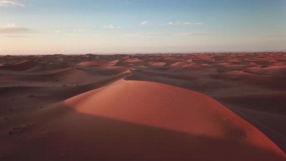 Sand Dunes and and Flying Crows in Sahara Desert