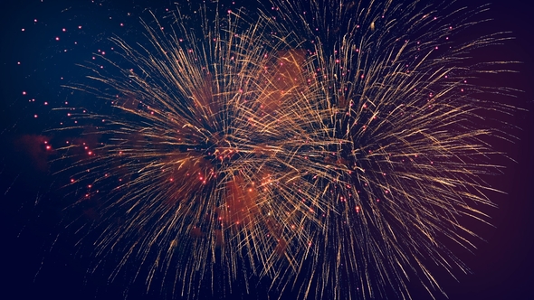 Vivid Fireworks in a Dark Sky.