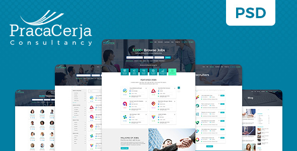 Praca Cerja Consultancy PSD Template