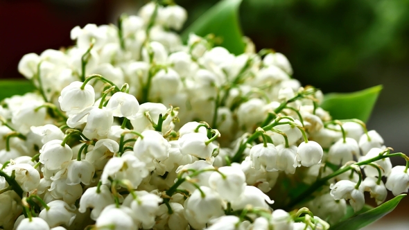 White Lily of the Valley Bouquet