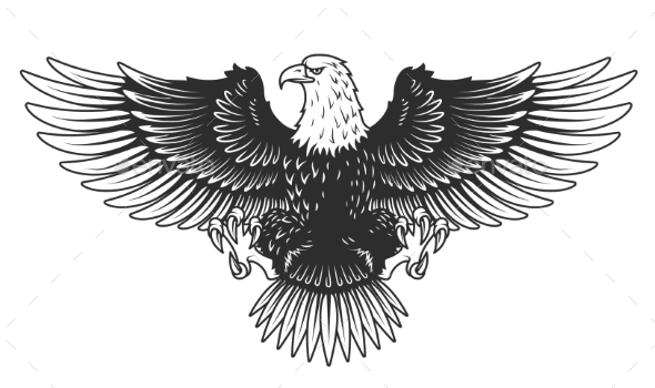 Eagle Isolated on White Vector Illustration