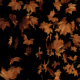 Leaves Pack - VideoHive Item for Sale