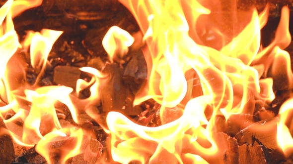Burning Flames of Fire against the Background of Coals alt