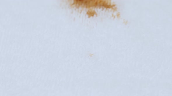 Stain From Spilled Coffee on White Cloth Closeup