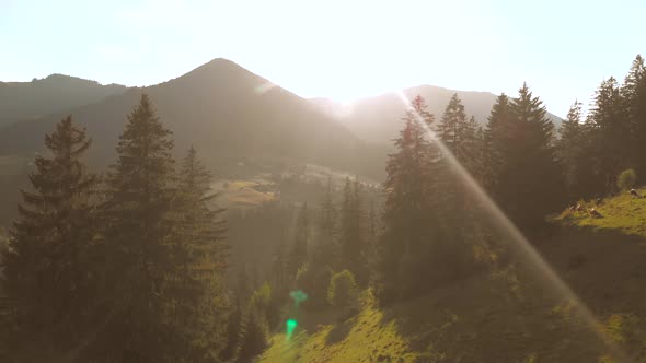 Beautiful Summer Landscape in Mountains