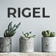 Rigel Instagram Stories - GraphicRiver Item for Sale