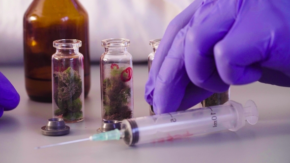 The Scientist's Hands Pouring Solvent Into the Bottles