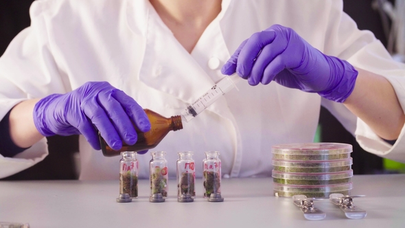 The Scientist's Hands Pouring Solvent Into the Bottles