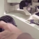 Hand Rotating Adjustment Knob of a Microscope - VideoHive Item for Sale