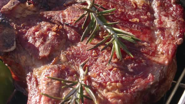 Quality meat cuts on a grill accompanied by vegetables