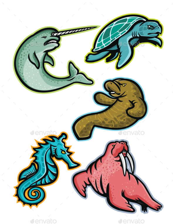 Aquatic Animals and Marine Mammals Collection