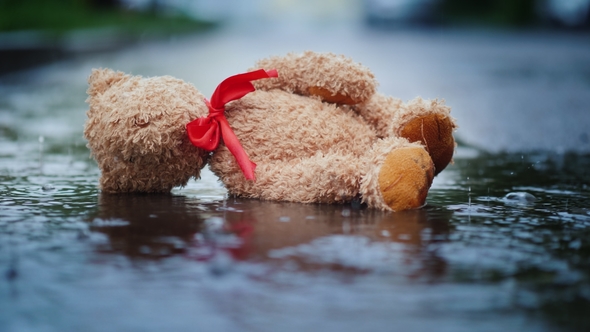 The Abandoned Little Bear Lies on a Wet Road, It's Raining. Loss and Depression Concept