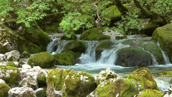 Stream and Mossy Stones in Spring Forest