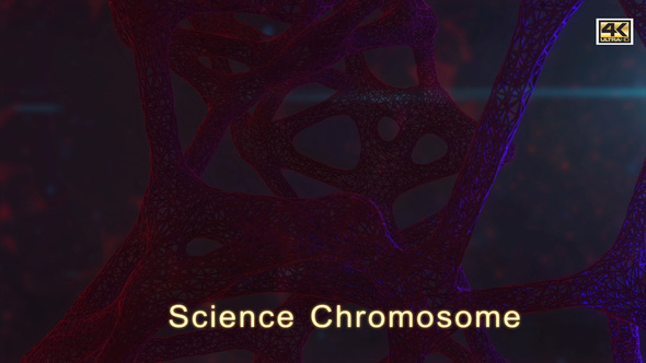 Science Chromosome  4K