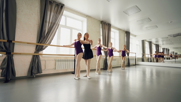 Young Students of Ballet School Are Practising Basic Positions