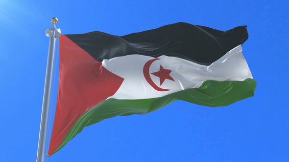 Flag of Western Sahara Waving