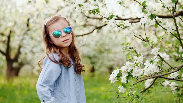 Young Little Girl in Sunglasses Posing in Blossoming Apple Orchard