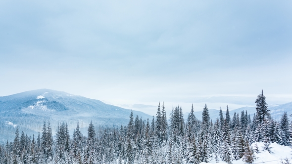 Beautiful Winter Landscape with Snow Covered Trees in the Mountains