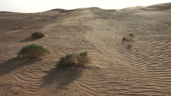 Sand Blowing in Sand Dunes in Wind, Sahara Desert