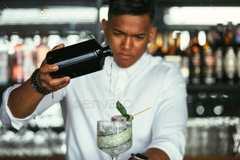 mixed race male expert bartender at the bar counter