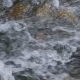 Waves, Spray and Foam, River Katun in Altai Mountains. Siberia, Russia - VideoHive Item for Sale
