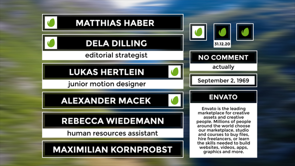 Corporate Lower Thirds alt