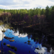 Aerial Forest Lake - VideoHive Item for Sale