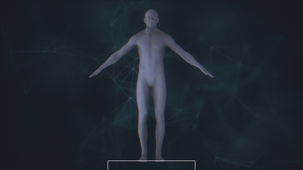 Male Body Scan alt