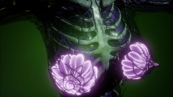 Human Body with Visible Glow Mammary Gland alt