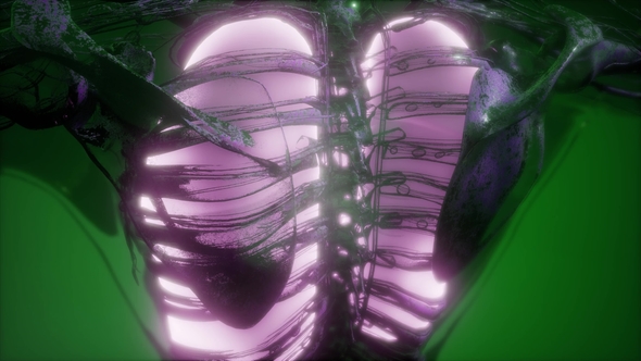 Human Body with Visible Lungs alt