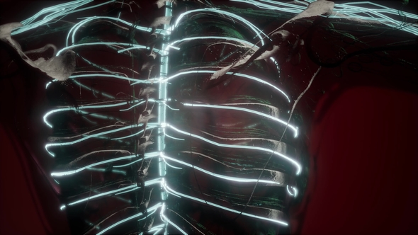 Anatomy of Human Brain alt