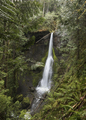 Marymere Falls in Olympic National Park Washington - PhotoDune Item for Sale