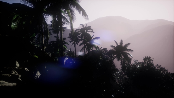 Mountain and Field Landscape with Palms alt