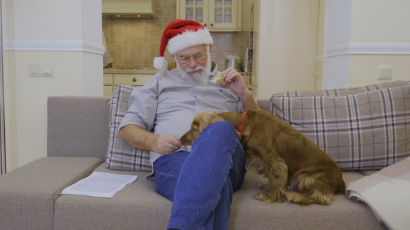 Cute Dog Asks Some Snack in Senior Man Wearing Santa's Hat