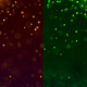 Magic Particles Background - VideoHive Item for Sale