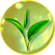 Fashion Ambient Logo