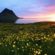 Fantastic Sunset in Iceland, a Sharp-mountain Mountain and a Pink Sky Make an Incredible Picture - VideoHive Item for Sale