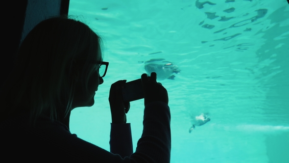 A Visitor To the Zoo Takes Pictures of the Underwater Inhabitants Through the Transparent Wall