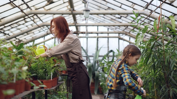 Cheerful Greenhouse Worker Is Watering Plants in Workplace with Her Helpful Daughter and Talking To