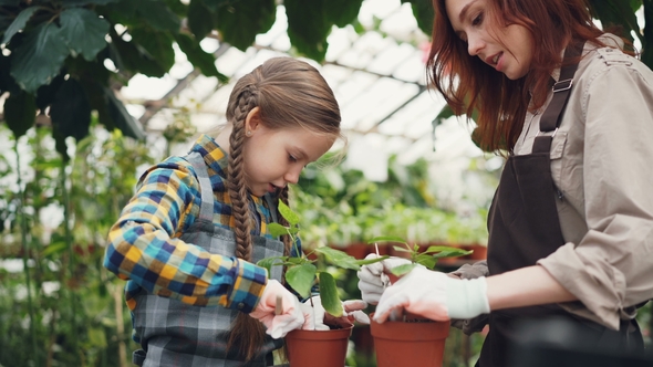 Caring Mother Professional Gardener Is Teaching Her Daughter To Hoe Soil in Plant Pot with Small