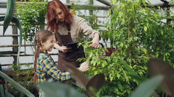 Greenhouse Owner and Her Cute Little Daughter Are Touching Leaves of Small Tree, Talking and Smiling