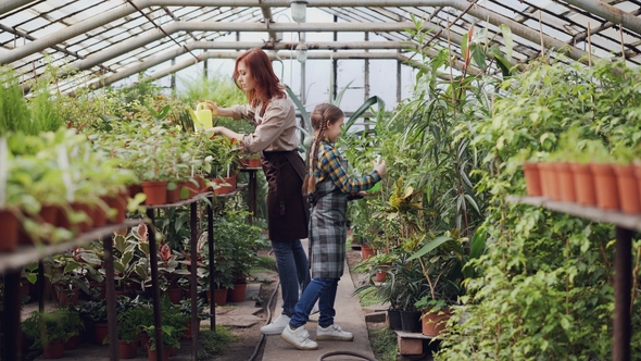 Young Entrepreneur Greenhouse Owner Is Watering Plants in Her Hothouse While Her Cute Little Child