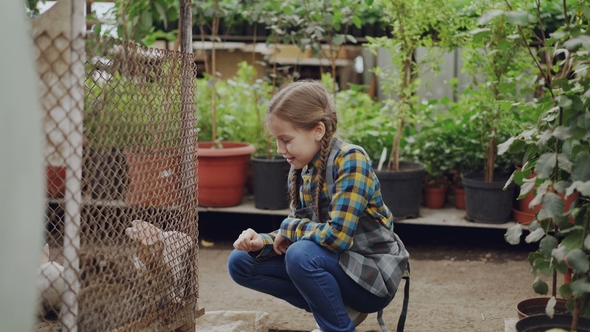 Happy Little Girl Is Watching Caged Rabbits in Greenhouse, Touching Them and Talking To Funny