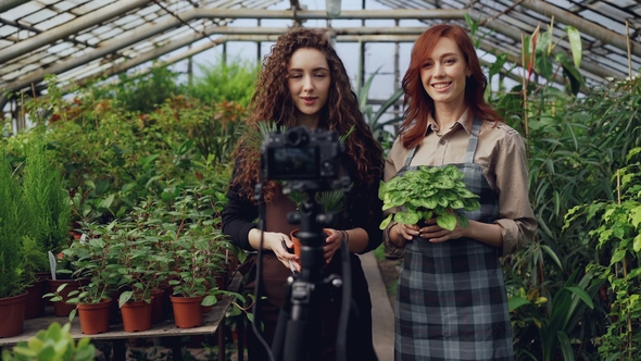 Cheerful Female Gardeners in Aprons Are Talking and Holding Flowers While Recording Video for Online