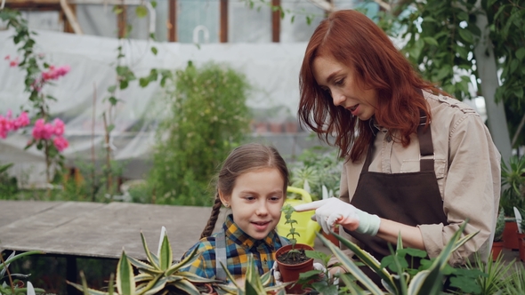 Caring Parent Telling Her Daughter about Different Plants while Working in Greenhouse Together