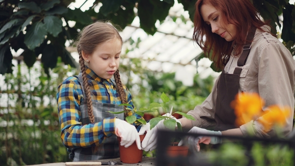 Parent and Child in Aprons Cultivating Soil in Plant Pots with Gardening Tools and Talking