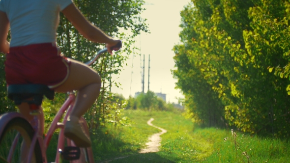 Girlfriend Cyclists Leave the Path of the Green Thicket on Sunny Day