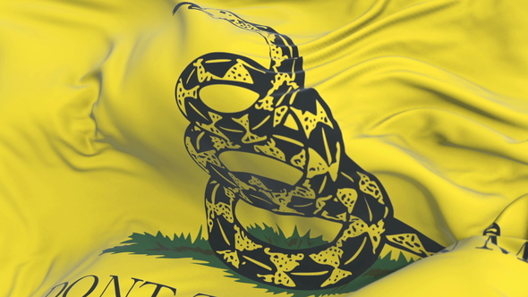 Don't Tread On Me Gadsden Flag