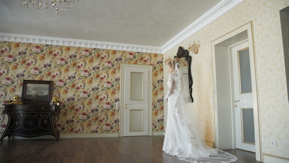 Back View of Beautiful Bride Stands in Wedding Dress with Vail in Room