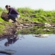 Ecologist Taking Samples of the Water - VideoHive Item for Sale